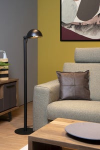 Benton lattiavalaisin