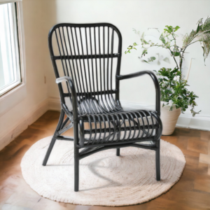 Rottinkituoli Gina, musta