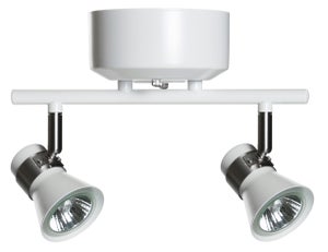 Niles spottivalaisin, valkoinen