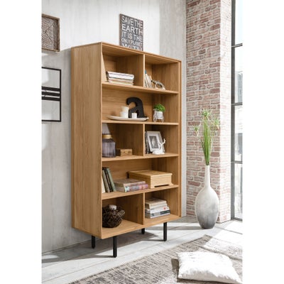 Kioto avohylly, tammea