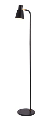 Belina lattiavalaisin, musta