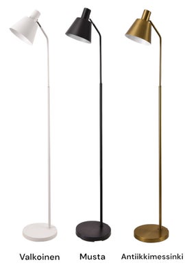 Kasper lattiavalaisin, eri v&auml;rej&auml;