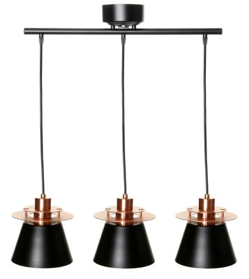 Sera kattovalaisin, musta