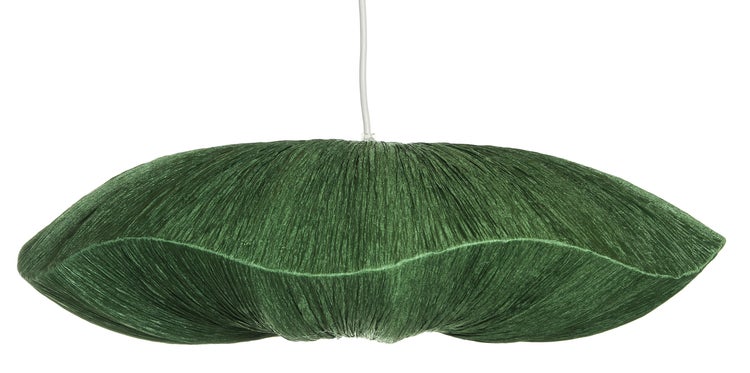 Crepa kattovalaisin, vihre&auml;